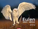 Eulen 2012 by