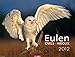 Eulen 2012 by