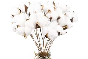 LARBER 20PCS Ramo de Flores Secas Decoracion Jarrones Rama Algodon Natural Flor Blanca Artificial Flores de Algdon para Boda Fiesta Hogar Mesa Macetero Terraza Balcon Cocina Dormitorio Iglesia,42cm