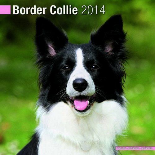 Download Border Collie 2014 (Calendar 2014)