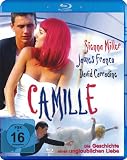 Camille - Die Geschichte einer unglaublichen Liebe (Blu-ray) - James Franco