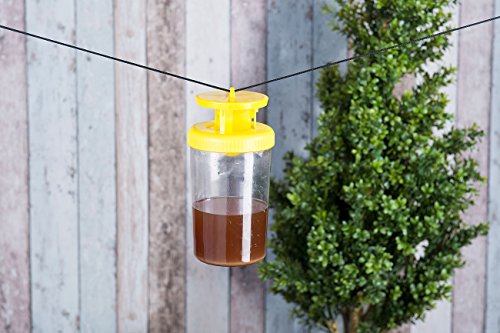 Exbuster 3er-Set Biologische Fliegenfalle, ungiftiger Wirkstoff f. je 10 Wochen - 2