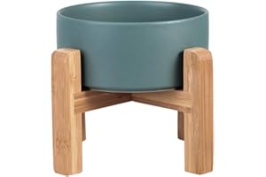 HCHLQLZ Green Ceramic Elevated Raised Cat Bowl with Wood Stand No Spill Pet Food Water Feeder Cats Small Dogs