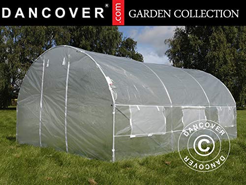 examen Dancover Serre Tunnel 4x4x2m, 16m², Transparent