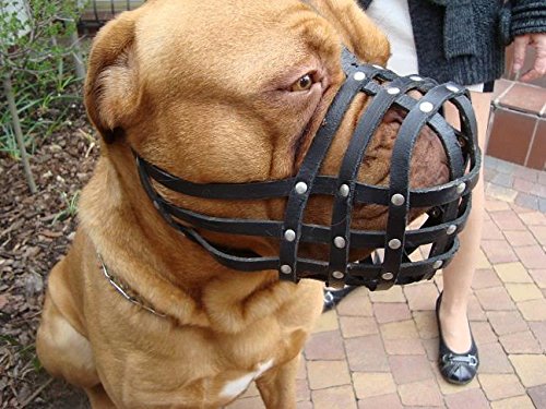 Light-leather-Dog-Muzzle-for-Dogue-de-Bordeaux-and-Bullmastiff-and-Other