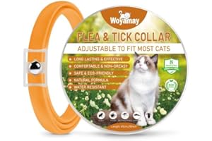Woyamay Collier Chat Anti Puces et Tiques, Collier Anti Puces pour Chat Réglable, Naturel Protection Efficace 8 Mois, Résistant à l'eau Collier Anti Tique Chat pour Chatons Moyens et Grands, Orange