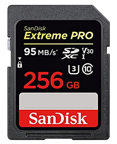 Tarjeta de Memoria SanDisk Extreme Pro SDXC de 256 GB con hasta 95 MB s  Class 10 y U3 y V30