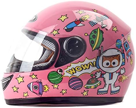 ZXW helmet- Children's Helmet Winter Windproof Warm Cartoon Boy Girl Full Face Helmet (Color : PINK)