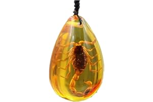TYGJB Insetto Pietra Naturale Scorpioni Inclusione Ambra Pendente della Collana Baltico Decorativo per La Casa di Nozze di Pietra del Partito del Regalo di Viaggi