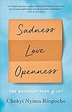 Sadness, Love, Openness: The Buddhist Path of Joy (English Edition) by 