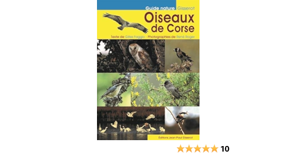 Les Oiseaux De Corse Amazon Fr Faggio Gilles Roger Rene Livres