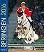 Springen 2016 by 