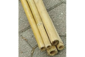FERRITALIA CANNE IN BAMBOO PER SOSTEGNO ORTAGGI E ALTRI USI DA CM 150 (5)