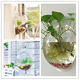 Este producto es Flower Pot, no incluye ningún otro decoraciones.