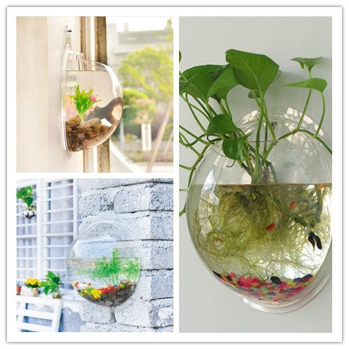 Comprar Peceras En La Pared Ofertas Junio 2020