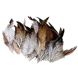 SODIAL(R) Natuerlich Dekoration Hahn Hahn Feder-Idee fuer Kostueme, Huete, Zuhause,Dekor,usw. - 