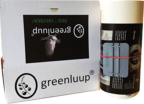 greenluup wandtattoo Sprüche Spruch der frühe Vogel braucht viel Kaffee in BRAUN KÜCHE ESSZIMMER BÜRO LADEN CAFE TEEKÜCHE ARBEITSZIMMER - 6