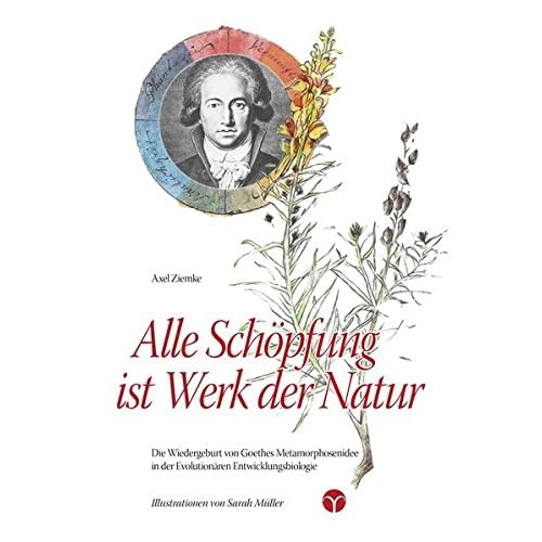 [PDF] Download Alle Schöpfung ist Werk der Natur: Die Wiedergeburt von Goethes Metamorphosenidee in der Evolutionáren Entwicklungsbiologie Kostenlos