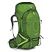 Produktbild Rucksack Osprey Atmos AG 65 Absinthe Green (grün) L