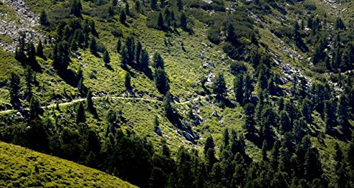 Original Tiroler ZirbenKissen - 5