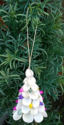 Marine Arts Nautical Clam Shell Christmas Tree Decorations Baubles Real Seashells