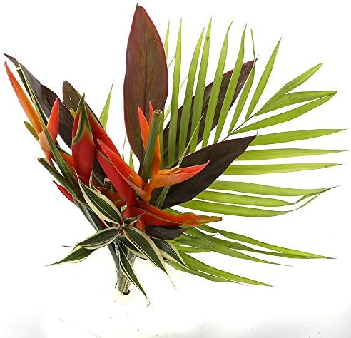 FloraAtHome Bouquet - Tropical Delight