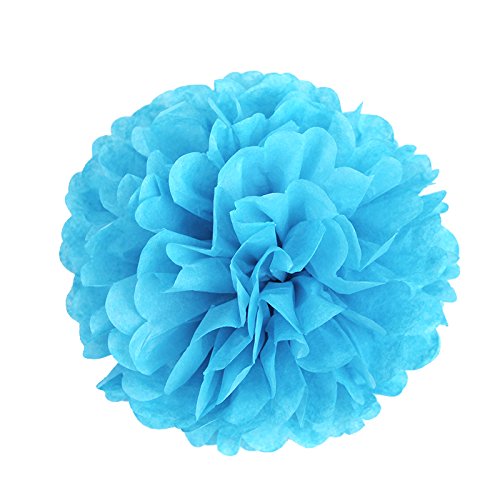 SUNBEAUTY 8er Set Tissue Papier Blume Pompom & Honeycomb Wabenball & Lampion Rosa Blau Serie Mixed Hochzeit Geburtstag Babyparty Dekoration (Blau) - 6