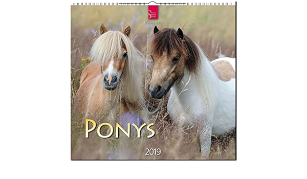 Mf Kalender Ponys 2019 Amazon De Stuewer Sabine Bucher