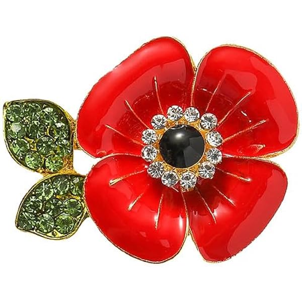 Red Poppie Flower Veteran Pin Badge Lapel Metal Enamel Lest We - Foto 8