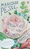 Cover zum Buch Special Topics in Calamity Physics