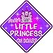 FANTASY * DADDY'S PRINCESS * on board novelty non personalised baby car window sign