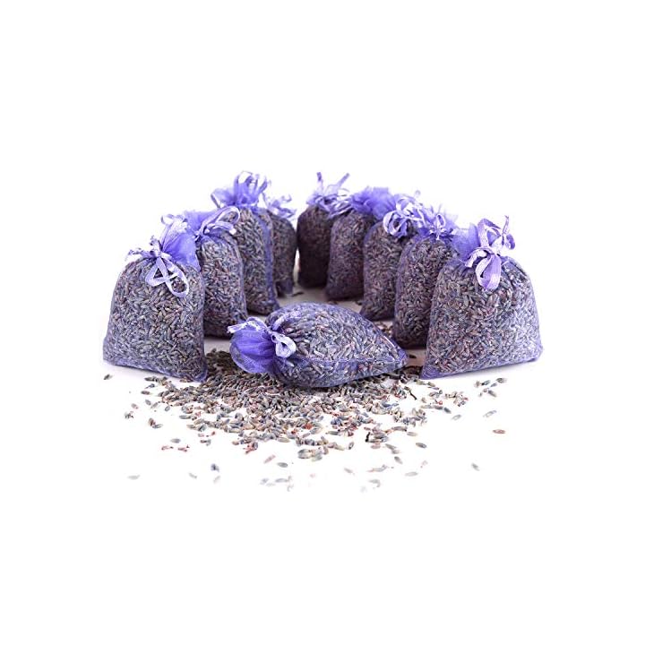 Quertee 10 x Lavendelsäckchen Mottenschutz als Duftsäckchen mit