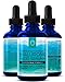 InstaNatural Hyaluronic Acid Serum - BEST Anti-Aging Skin Care Product for Face With Vitamin C Serum, Vitamin E & Green Tea - Reduces Wrinkles, Fine Lines, & More - For Youthful & Radiant Skin - 2 OZ