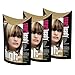Smart Highlights Cool Blonde Hair Colour x 3