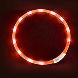 LED Leuchtendes Hunde Halsband, LaRooTM Blinkende...