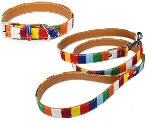 Rainbow Dog Collar and Lead Set Available in Xsmall, Small, Medium, Large and Xlarge Size Breeds (Large Length 60cm)