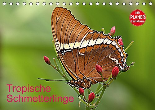Tropische Schmetterlinge (Tischkalender 2017 DIN A5 quer): Vielfalt und Schönheit der Schmetterlinge (Geburtstagskalender, 14 Seiten ) (CALVENDO Tiere)
