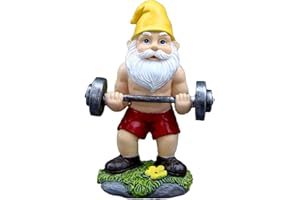 Fayemint Nain Jardin Haltères, Nain Drôle, Nain Extérieur, pour Cour, Pelouse, Terrasse, Intérieur