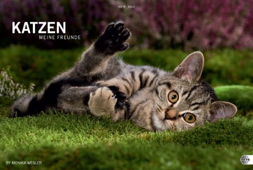 Katzen. Meine Freunde 2012