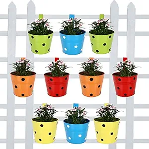 TrustBasket Round Dotted Railing Planters (Multicolour, Pack of 10)