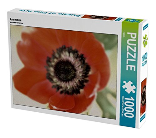 Anemone 1000 Teile Puzzle quer (CALVENDO Natur)