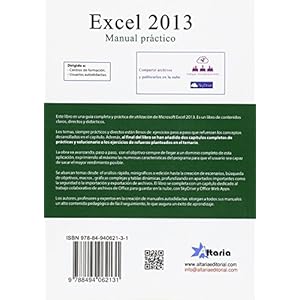 Excel 2013: manual práctico