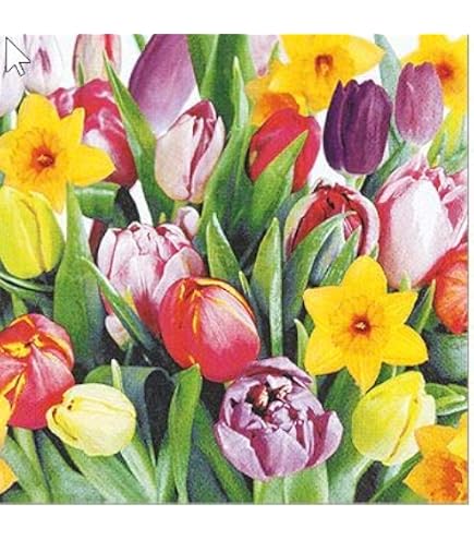 Ideal Home Range Party-Servietten – 3-lagig, 16,5 X 16,5 Cm, Tulpen-Muster, 20 Stück