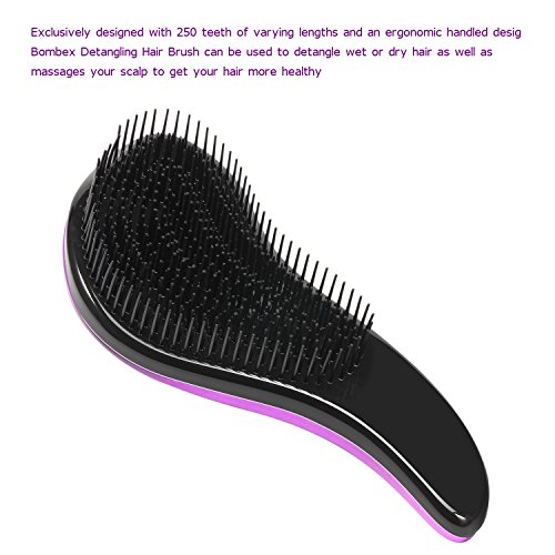 Entwirren Haar Bürsten – 2er Pack Set – Nass Haarbürste – Beste Bürste / Kamm für Frauen, Mädchen, Männer & Kinder,Rosa und Violett - 2