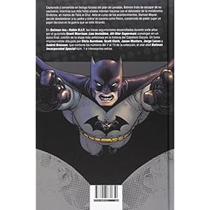 Batman Inc.: Robin R.I.P