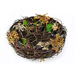 Artificial Vine Nest 5 Inch with Leaves 1Pc