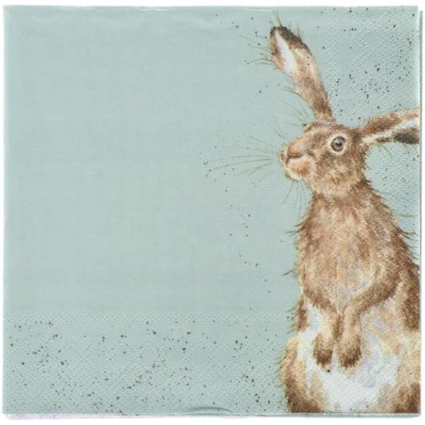 Peter Rabbit Servietten, 20 Stück – 3-lagig, Weiß Mit Süßen Hasen-Motiven – Ideal Für Geburtstag, Party Oder Gartenfest
