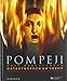 Pompeji - Nola - Herculaneum: Katastrophen am Vesuv; Katalog zur Ausstellung in Halle, Landesmuseum für Vorgeschichte, 09.12.2011-08.06.2012 by 