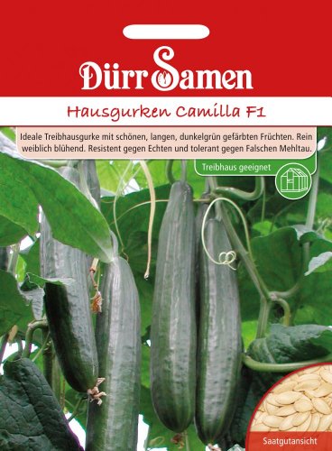 Dürr-Samen Hausgurken Camilla F1