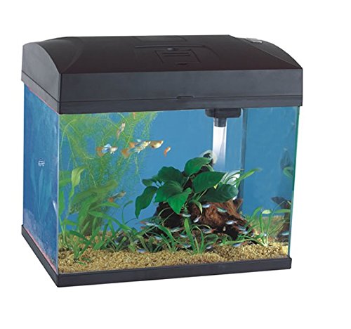 fibre aquarium